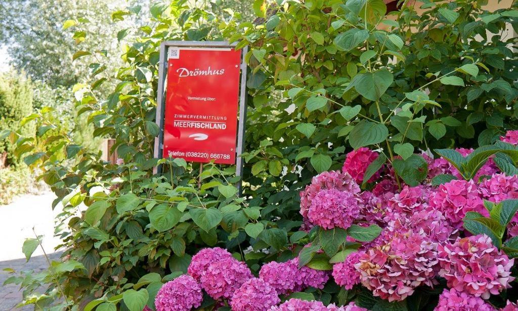 Droemhus Villa Аренсхоп Екстериор снимка
